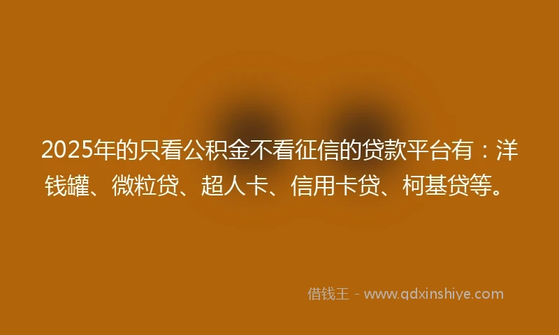 2025年的只看公积金不看征信的贷款平台有：洋钱罐、微粒贷、超人卡、信用卡贷、柯基贷等。
