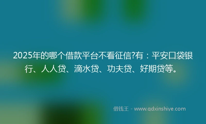 2025年的哪个借款平台不看征信?有：平安口袋银行、人人贷、滴水贷、功夫贷、好期贷等。
