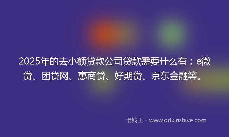 2025年的去小额贷款公司贷款需要什么有:e微贷、团贷网、惠商贷、好期贷、京东金融等。
