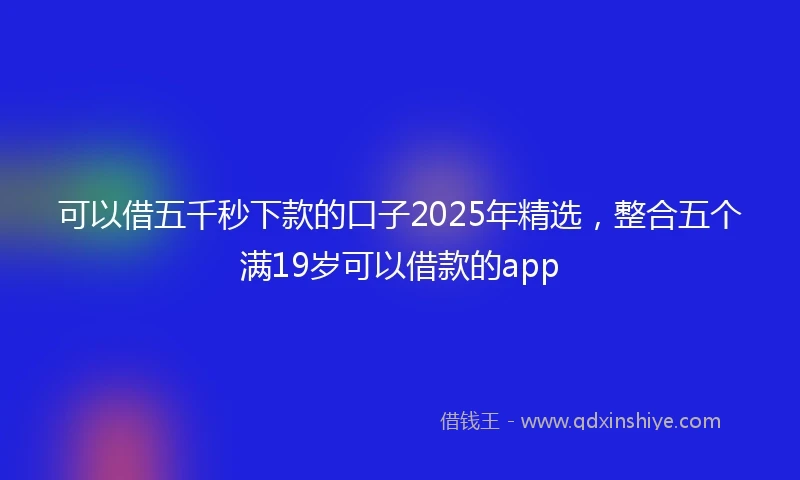 可以借五千秒下款的口子2025年精选，整合五个满19岁可以借款的app