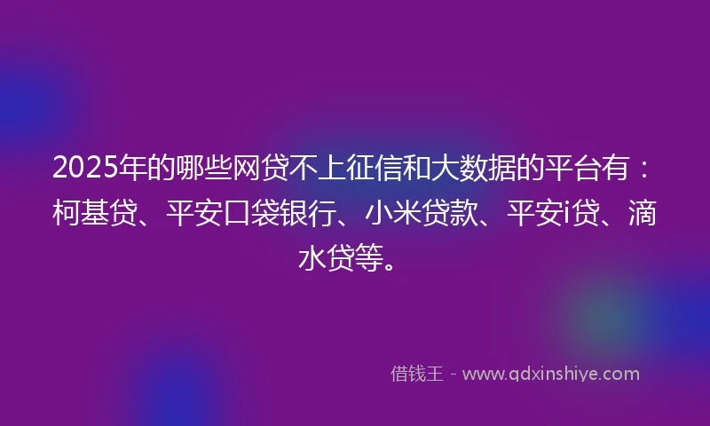 2025年的哪些网贷不上征信和大数据的平台有：柯基贷、平安口袋银行、小米贷款、平安i贷、滴水贷等。