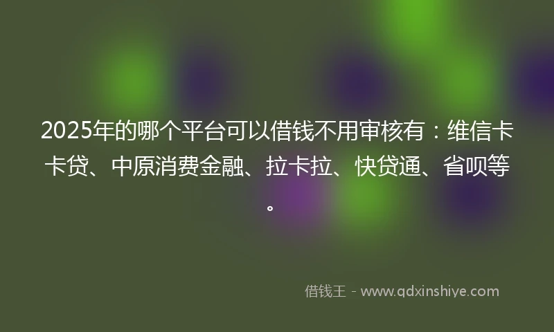2025年的哪个平台可以借钱不用审核有：维信卡卡贷、中原消费金融、拉卡拉、快贷通、省呗等。