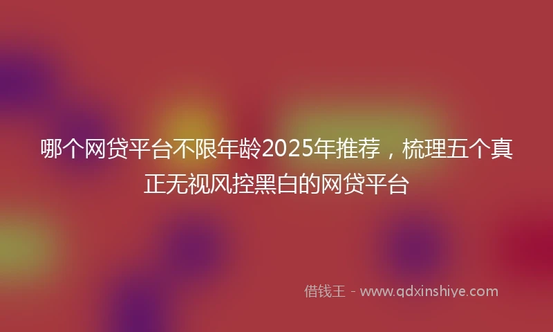 哪个网贷平台不限年龄2025年推荐，梳理五个真正无视风控黑白的网贷平台