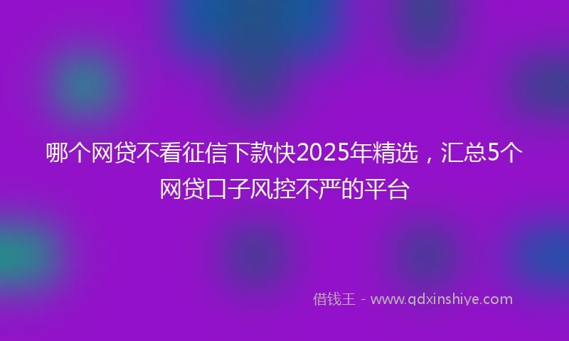 哪个网贷不看征信下款快2025年精选，汇总5个网贷口子风控不严的平台
