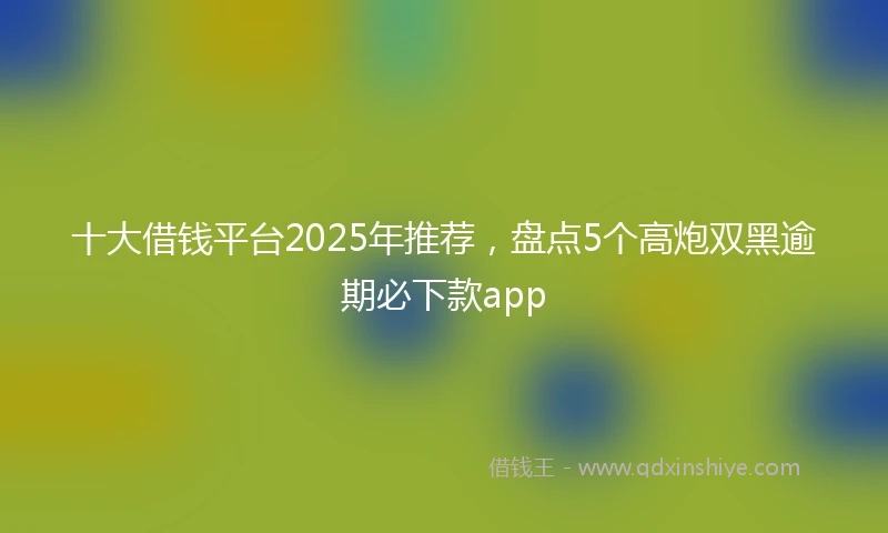 十大借钱平台2025年推荐，盘点5个高炮双黑逾期必下款app