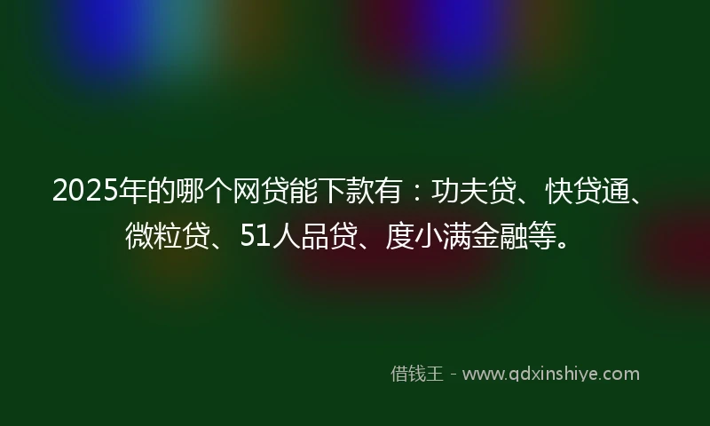 2025年的哪个网贷能下款有：功夫贷、快贷通、微粒贷、51人品贷、度小满金融等。