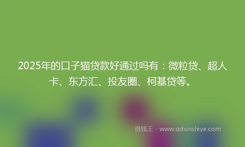 2025年的口子猫贷款好通过吗有：微粒贷、超人卡、东方汇、投友圈、柯基贷等。