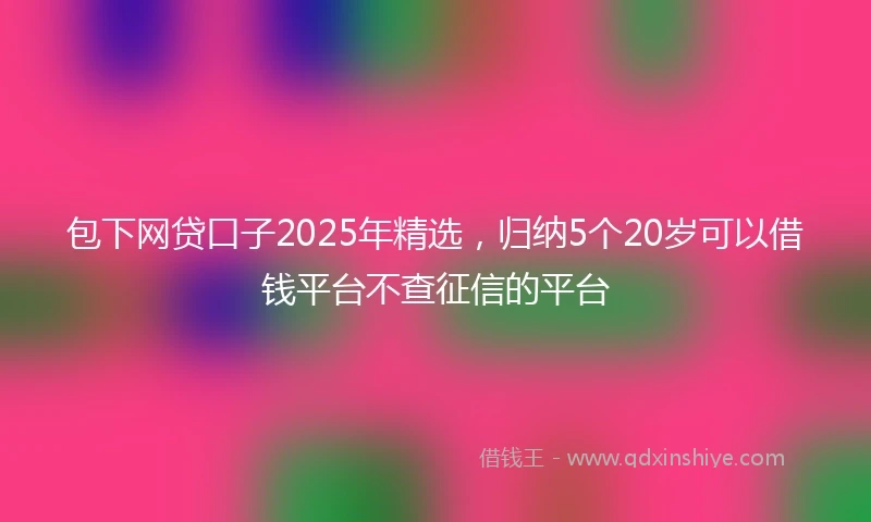 包下网贷口子2025年精选，归纳5个20岁可以借钱平台不查征信的平台