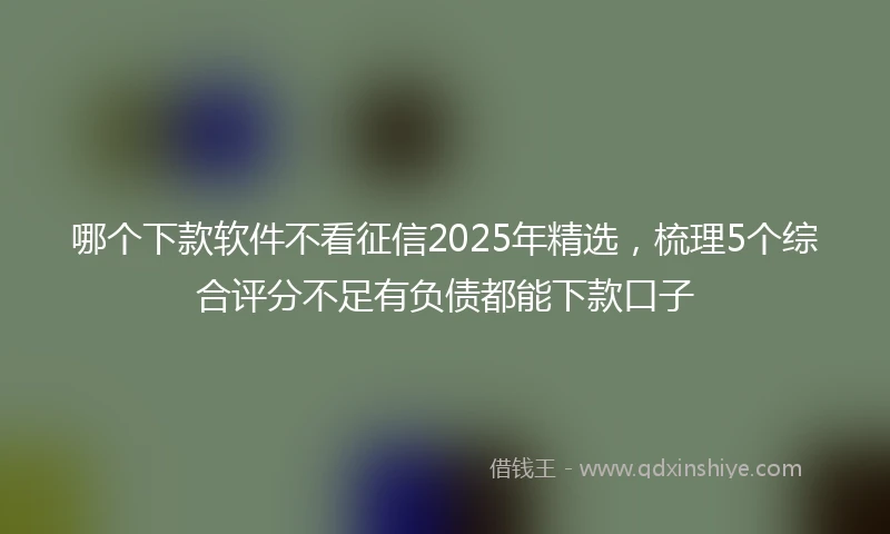 哪个下款软件不看征信2025年精选，梳理5个综合评分不足有负债都能下款口子
