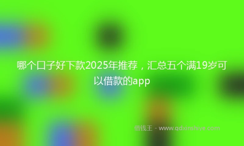 哪个口子好下款2025年推荐，汇总五个满19岁可以借款的app
