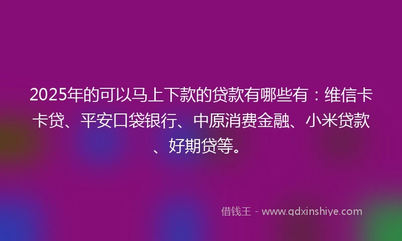 2025年的可以马上下款的贷款有哪些有：维信卡卡贷、平安口袋银行、中原消费金融、小米贷款、好期贷等。