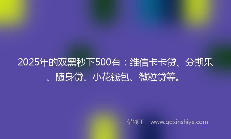2025年的双黑秒下500有：维信卡卡贷、分期乐、随身贷、小花钱包、微粒贷等。