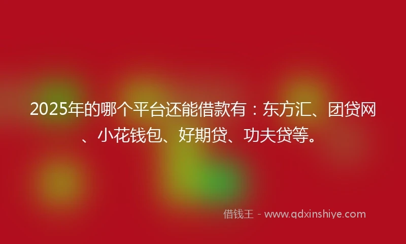 2025年的哪个平台还能借款有：东方汇、团贷网、小花钱包、好期贷、功夫贷等。