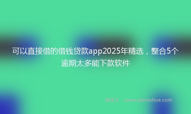 可以直接借的借钱贷款app2025年精选,整合5个逾期太多能下款软件
