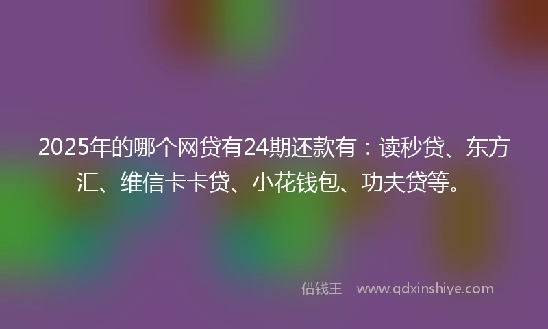 2025年的哪个网贷有24期还款有：读秒贷、东方汇、维信卡卡贷、小花钱包、功夫贷等。