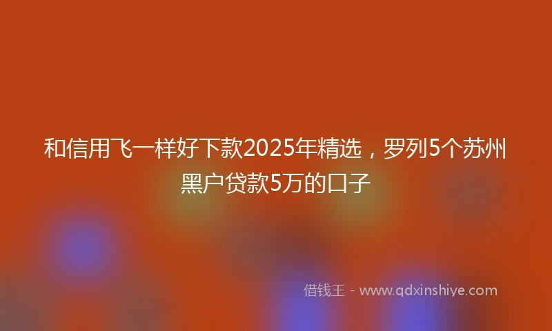 和信用飞一样好下款2025年精选，罗列5个苏州黑户贷款5万的口子