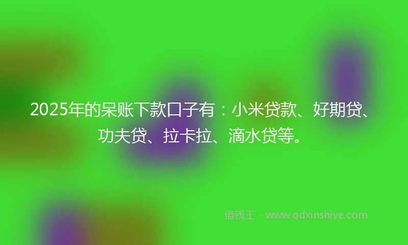 2025年的呆账下款口子有：小米贷款、好期贷、功夫贷、拉卡拉、滴水贷等。