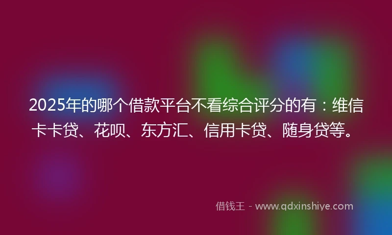 2025年的哪个借款平台不看综合评分的有：维信卡卡贷、花呗、东方汇、信用卡贷、随身贷等。