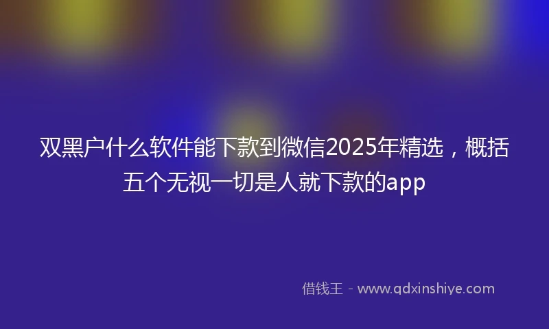 双黑户什么软件能下款到微信2025年精选，概括五个无视一切是人就下款的app