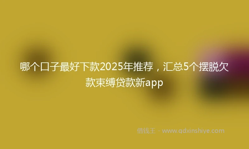 哪个口子最好下款2025年推荐，汇总5个摆脱欠款束缚贷款新app