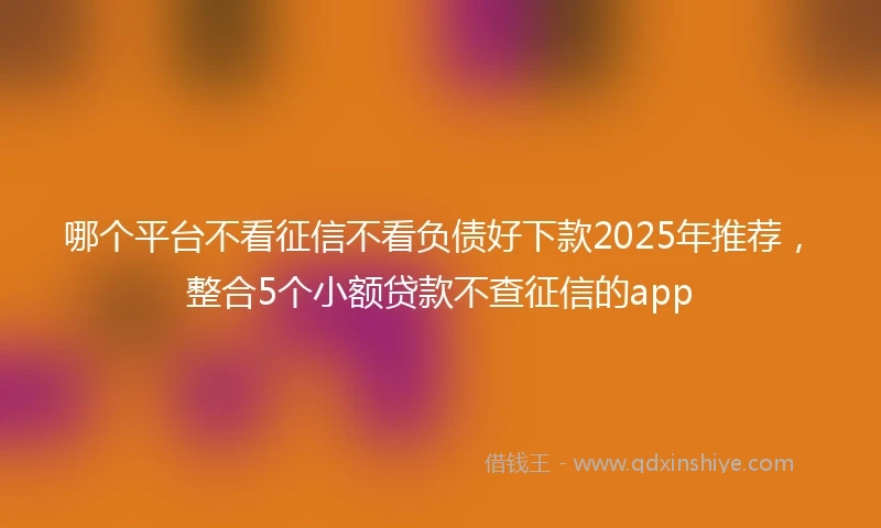 哪个平台不看征信不看负债好下款2025年推荐,整合5个小额贷款不查征信的app