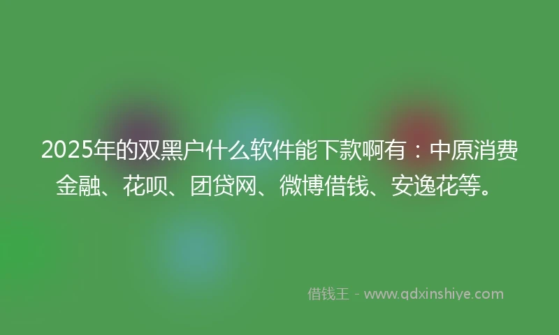 2025年的双黑户什么软件能下款啊有：中原消费金融、花呗、团贷网、微博借钱、安逸花等。