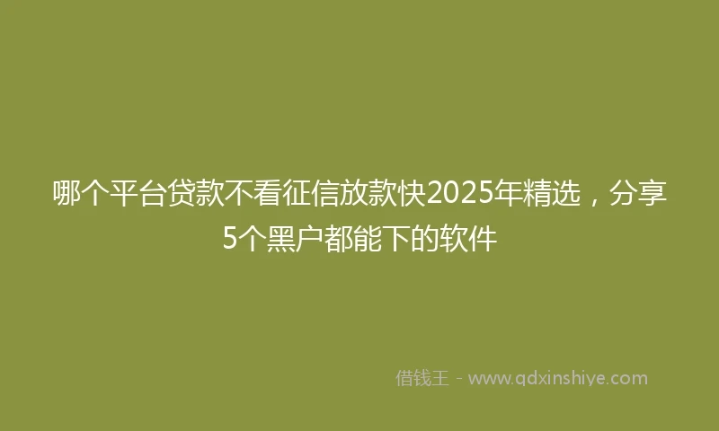 哪个平台贷款不看征信放款快2025年精选，分享5个黑户都能下的软件