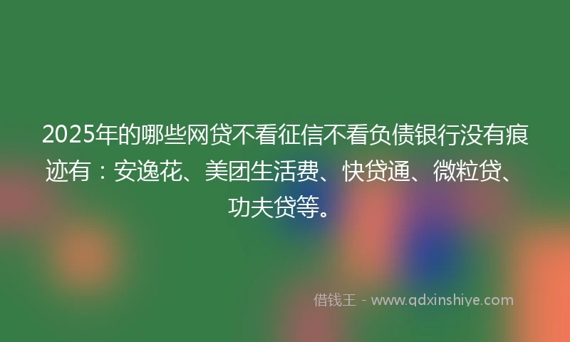 2025年的哪些网贷不看征信不看负债银行没有痕迹有：安逸花、美团生活费、快贷通、微粒贷、功夫贷等。