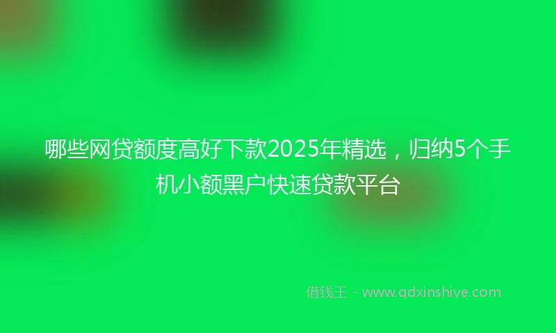 哪些网贷额度高好下款2025年精选，归纳5个手机小额黑户快速贷款平台