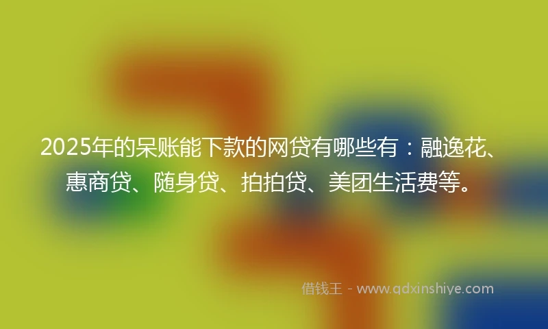 2025年的呆账能下款的网贷有哪些有：融逸花、惠商贷、随身贷、拍拍贷、美团生活费等。