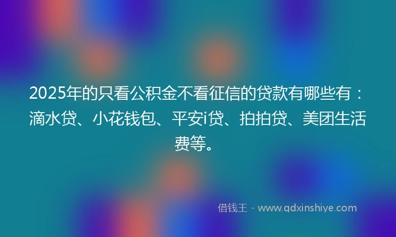2025年的只看公积金不看征信的贷款有哪些有：滴水贷、小花钱包、平安i贷、拍拍贷、美团生活费等。