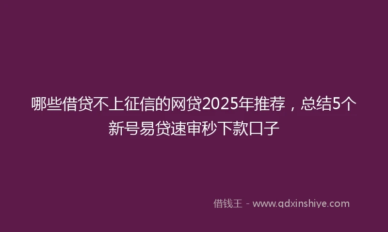 哪些借贷不上征信的网贷2025年推荐，总结5个新号易贷速审秒下款口子