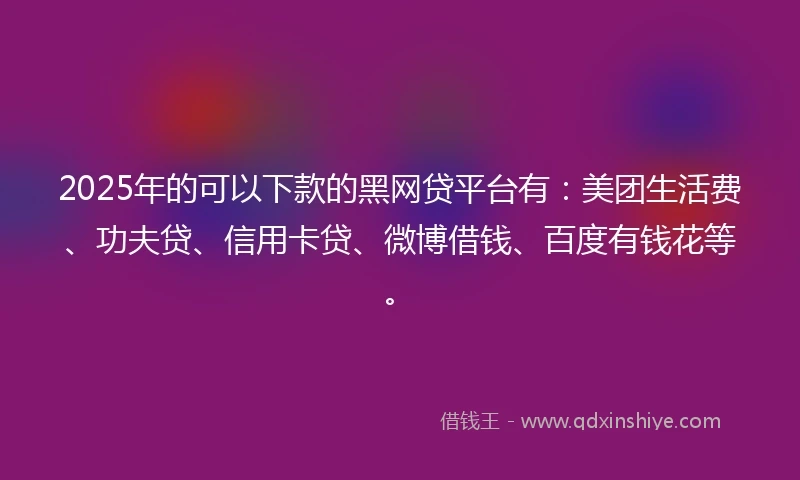 2025年的可以下款的黑网贷平台有：美团生活费、功夫贷、信用卡贷、微博借钱、百度有钱花等。