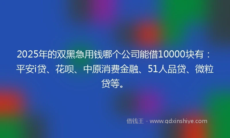 2025年的双黑急用钱哪个公司能借10000块有：平安i贷、花呗、中原消费金融、51人品贷、微粒贷等。