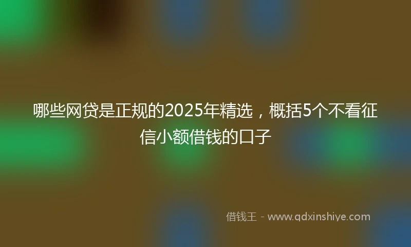 哪些网贷是正规的2025年精选，概括5个不看征信小额借钱的口子