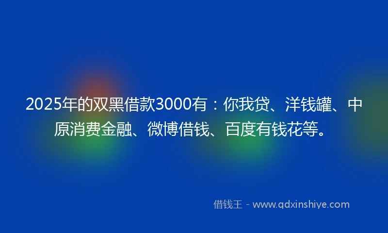 2025年的双黑借款3000有：你我贷、洋钱罐、中原消费金融、微博借钱、百度有钱花等。