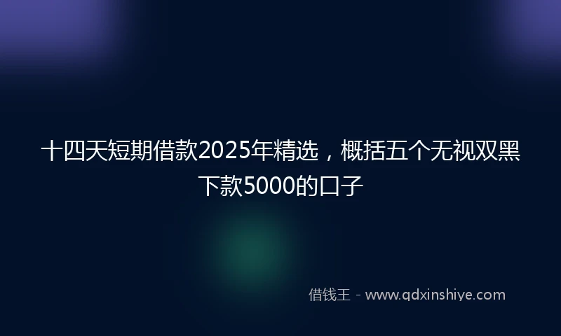 十四天短期借款2025年精选，概括五个无视双黑下款5000的口子