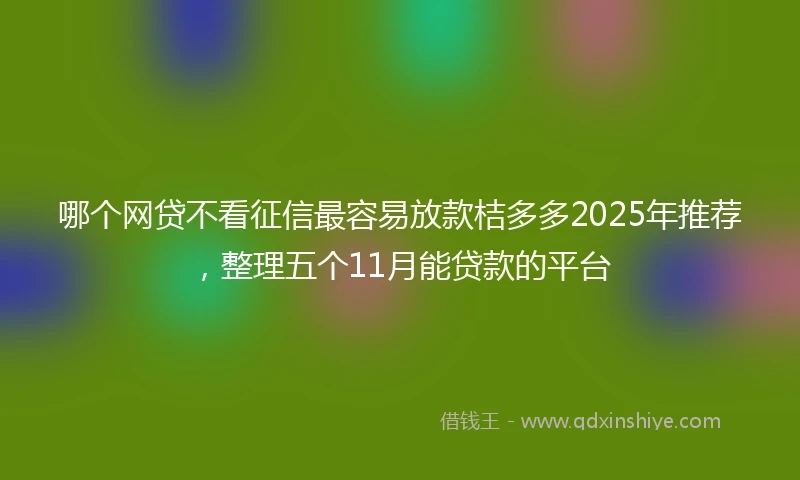 哪个网贷不看征信最容易放款桔多多2025年推荐，整理五个11月能贷款的平台