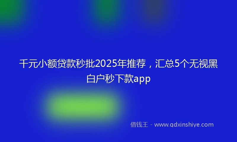 千元小额贷款秒批2025年推荐，汇总5个无视黑白户秒下款app