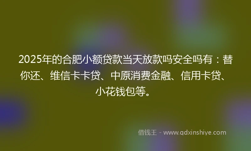 2025年的合肥小额贷款当天放款吗安全吗有：替你还、维信卡卡贷、中原消费金融、信用卡贷、小花钱包等。