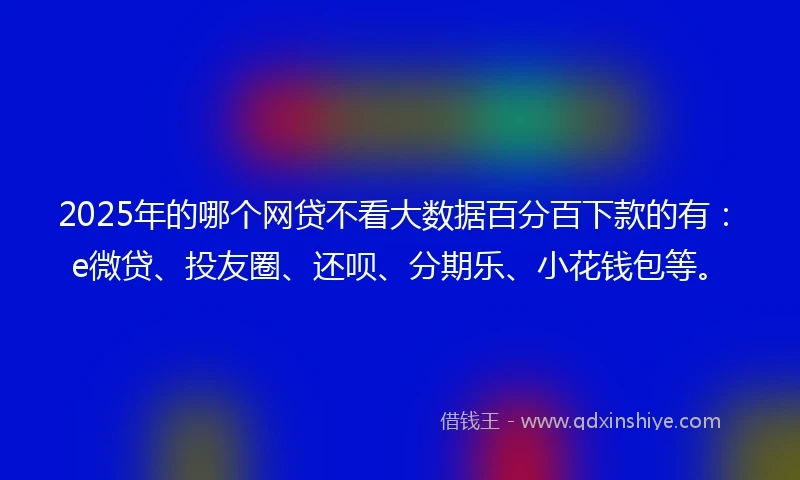 2025年的哪个网贷不看大数据百分百下款的有：e微贷、投友圈、还呗、分期乐、小花钱包等。