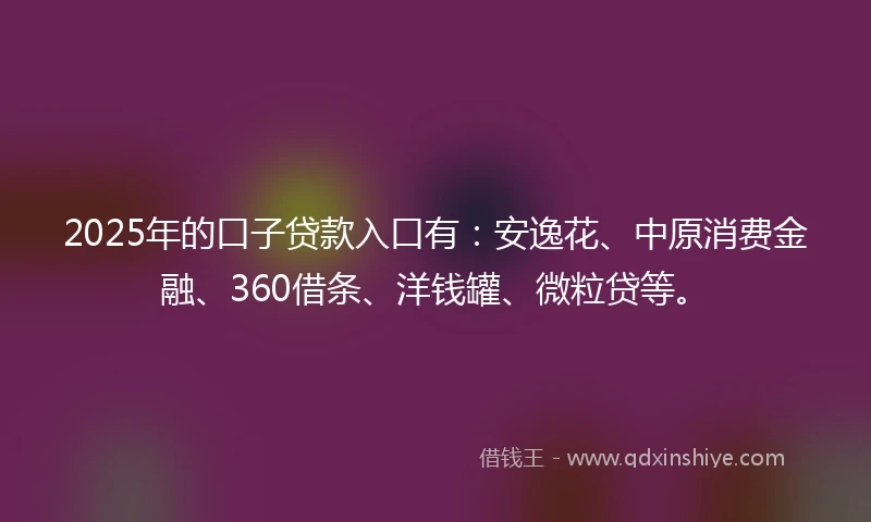 2025年的口子贷款入口有：安逸花、中原消费金融、360借条、洋钱罐、微粒贷等。