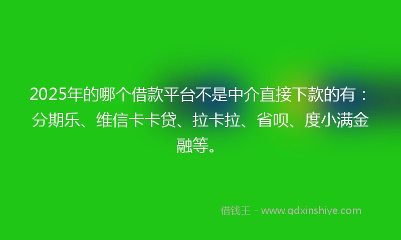 2025年的哪个借款平台不是中介直接下款的有：分期乐、维信卡卡贷、拉卡拉、省呗、度小满金融等。