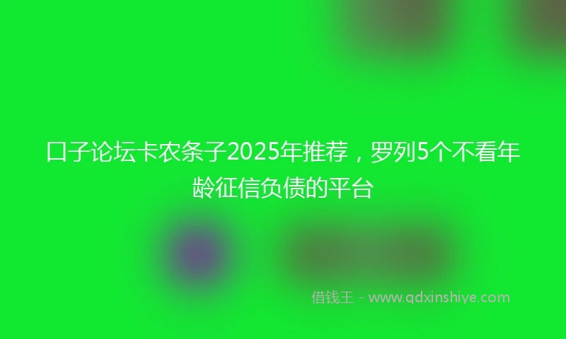 口子论坛卡农条子2025年推荐，罗列5个不看年龄征信负债的平台