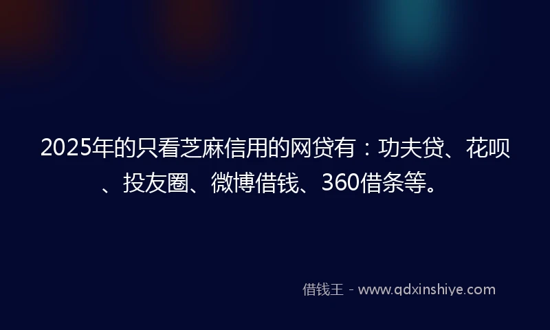 2025年的只看芝麻信用的网贷有：功夫贷、花呗、投友圈、微博借钱、360借条等。