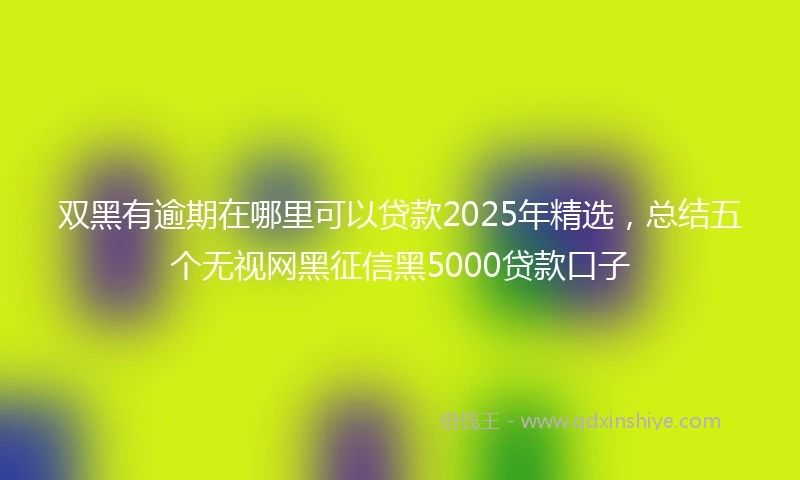 双黑有逾期在哪里可以贷款2025年精选，总结五个无视网黑征信黑5000贷款口子