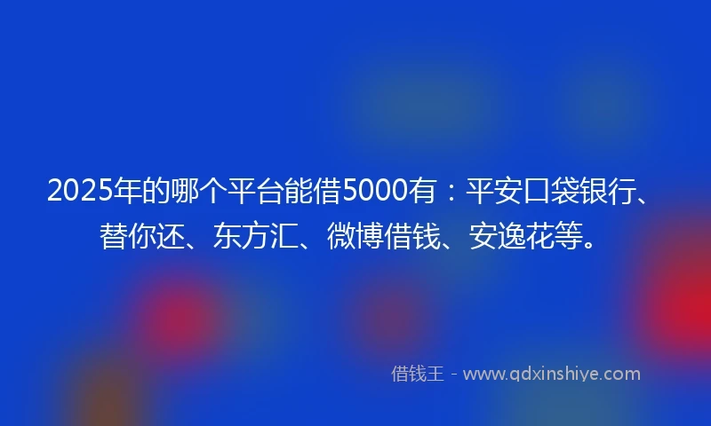 2025年的哪个平台能借5000有：平安口袋银行、替你还、东方汇、微博借钱、安逸花等。