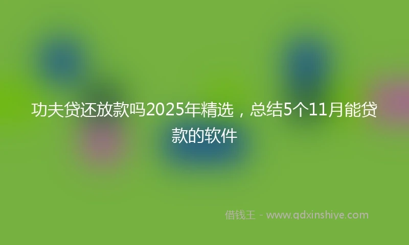 功夫贷还放款吗2025年精选，总结5个11月能贷款的软件