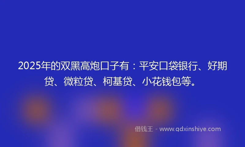 2025年的双黑高炮口子有：平安口袋银行、好期贷、微粒贷、柯基贷、小花钱包等。
