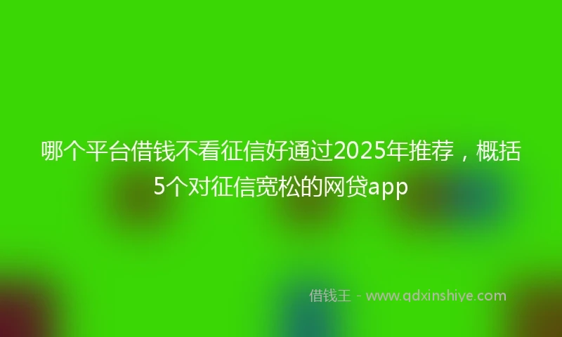 哪个平台借钱不看征信好通过2025年推荐，概括5个对征信宽松的网贷app